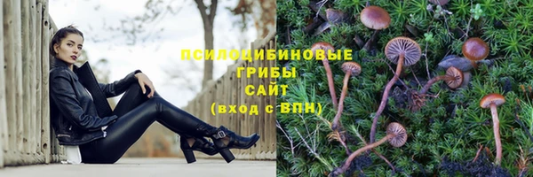 гидра Алексин